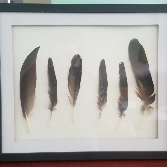 Featherwork Framed 8×10 Wall & Sitting Art/Decor Hang or Stand - Picture 7 of 8